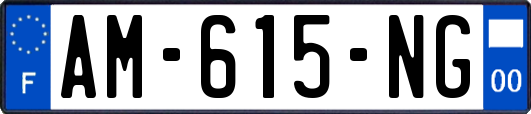 AM-615-NG