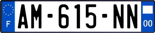 AM-615-NN