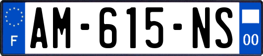 AM-615-NS