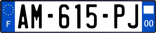 AM-615-PJ
