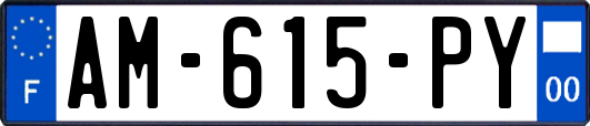 AM-615-PY