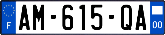 AM-615-QA