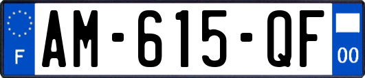 AM-615-QF