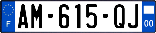 AM-615-QJ