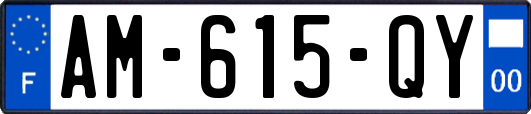 AM-615-QY