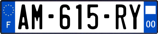AM-615-RY
