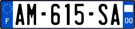 AM-615-SA