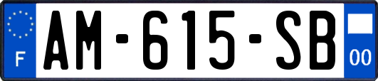AM-615-SB