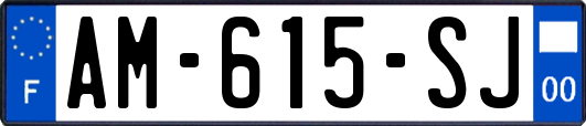 AM-615-SJ