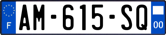 AM-615-SQ