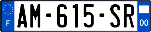 AM-615-SR