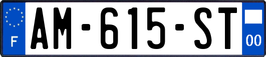 AM-615-ST