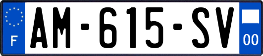 AM-615-SV
