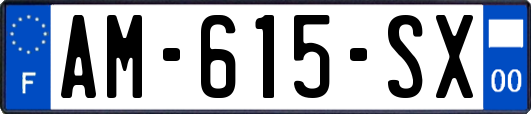 AM-615-SX