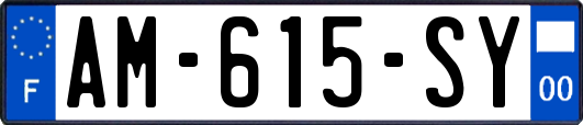 AM-615-SY