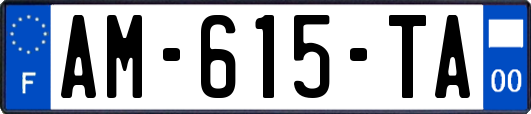 AM-615-TA