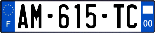 AM-615-TC