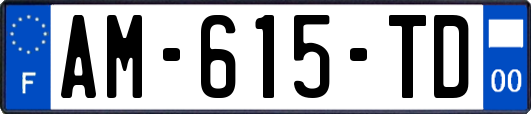 AM-615-TD
