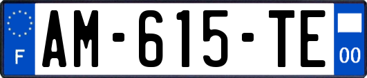 AM-615-TE