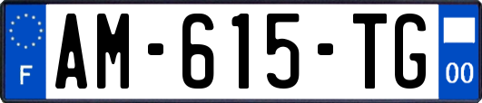 AM-615-TG