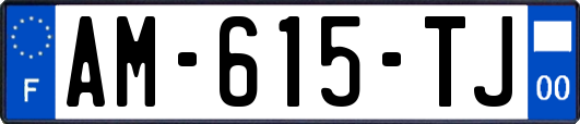 AM-615-TJ