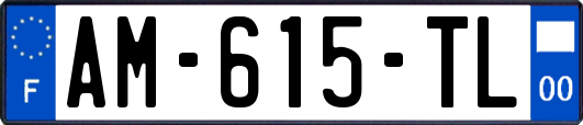 AM-615-TL