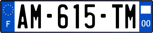 AM-615-TM