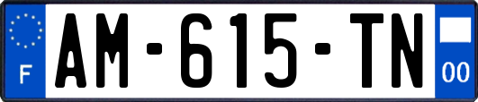 AM-615-TN
