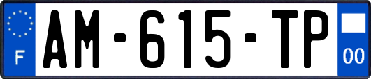 AM-615-TP