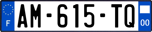 AM-615-TQ