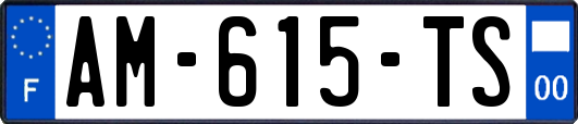 AM-615-TS