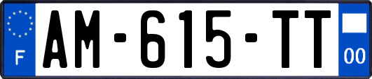 AM-615-TT