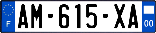 AM-615-XA