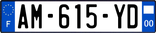 AM-615-YD