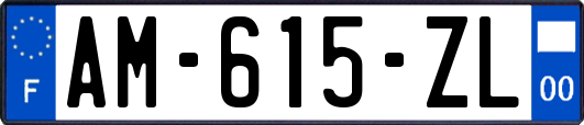 AM-615-ZL