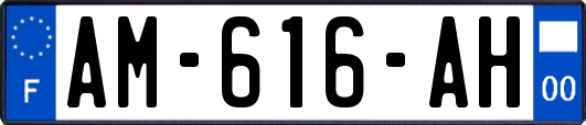 AM-616-AH