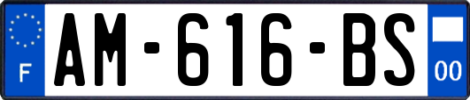 AM-616-BS