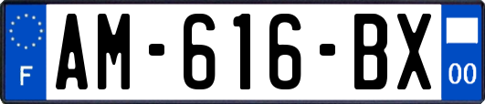 AM-616-BX