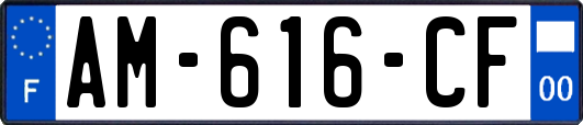 AM-616-CF