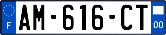 AM-616-CT