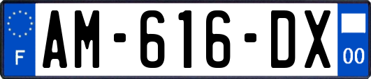AM-616-DX