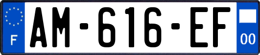 AM-616-EF