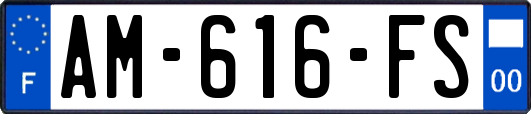 AM-616-FS