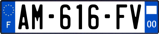 AM-616-FV