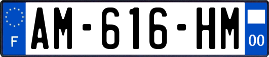 AM-616-HM