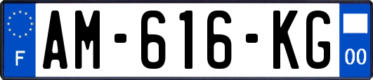 AM-616-KG