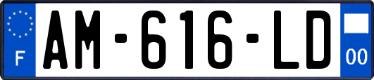 AM-616-LD