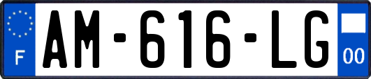 AM-616-LG