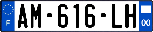 AM-616-LH