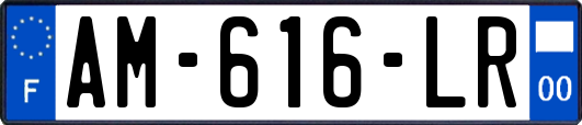 AM-616-LR